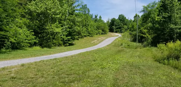 Tellico Plains, TN 37385,Lick Creek Rd