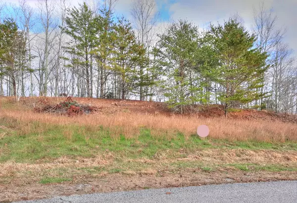 Rockwood, TN 37854,Lot 402 Flint Ridge Rd