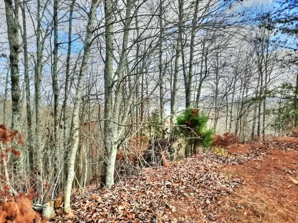 Rockwood, TN 37854,Lot 402 Flint Ridge Rd