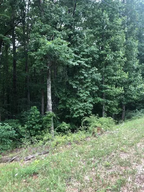 Monterey, TN 38574,Flat Rock Pl PL