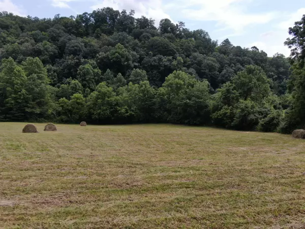 0 Upper Caney Valley Rd, Tazewell, TN 37879