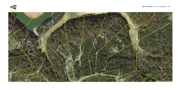 Sevierville, TN 37876,Lot 11 Pleasure Rd