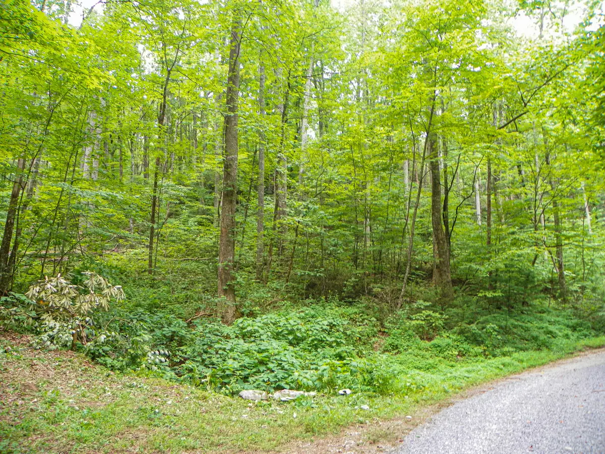 Sevierville, TN 37862,Lot# 8 Brooke Hollow Lane