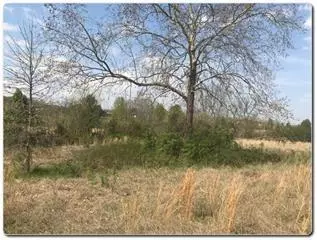 Sevierville, TN 37876,Lot 5 Old Newport Hwy