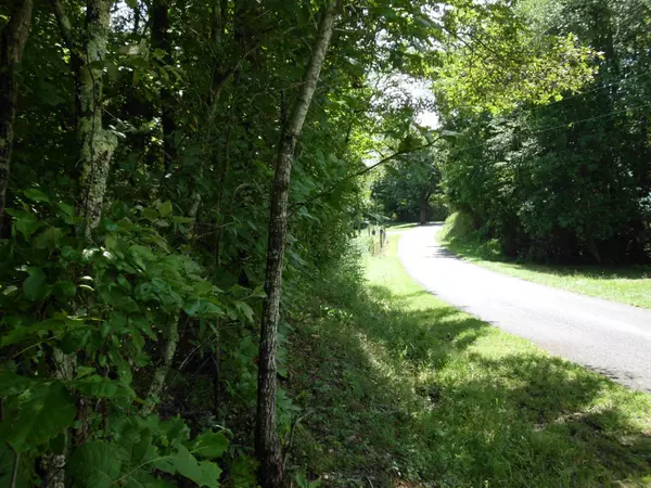 Tellico Plains, TN 37385,Old Mill Rd