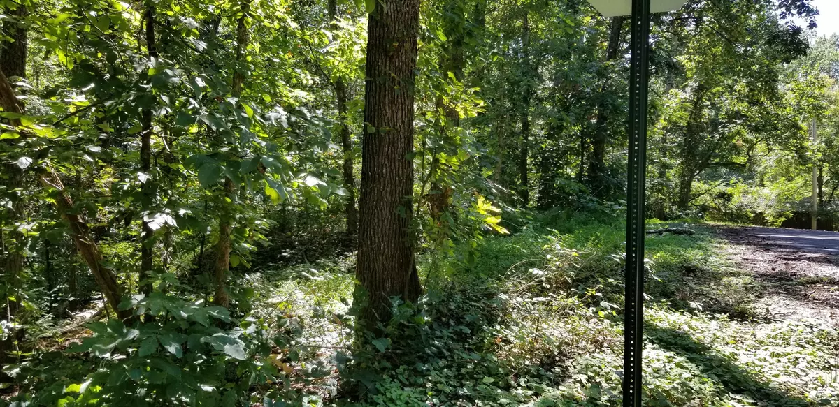 Friendsville, TN 37737,Lot 20 Wilderness Rd