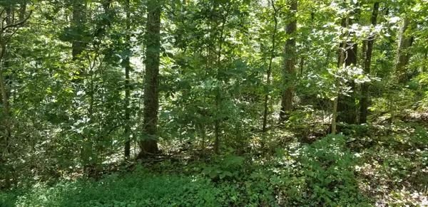 Friendsville, TN 37737,Lot 20 Wilderness Rd