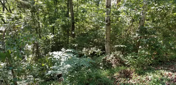 Friendsville, TN 37737,Lot 20 Wilderness Rd