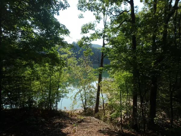 Lot 36 Mountain Shores Rd, New Tazewell, TN 37825