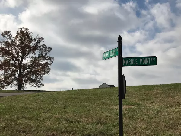 New Tazewell, TN 37825,Lot 253 Marble Point WAY