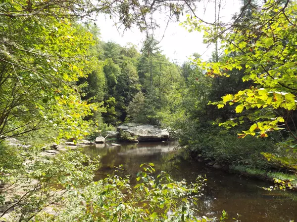 Deer Lodge, TN 37726,Twin Bridge Rd