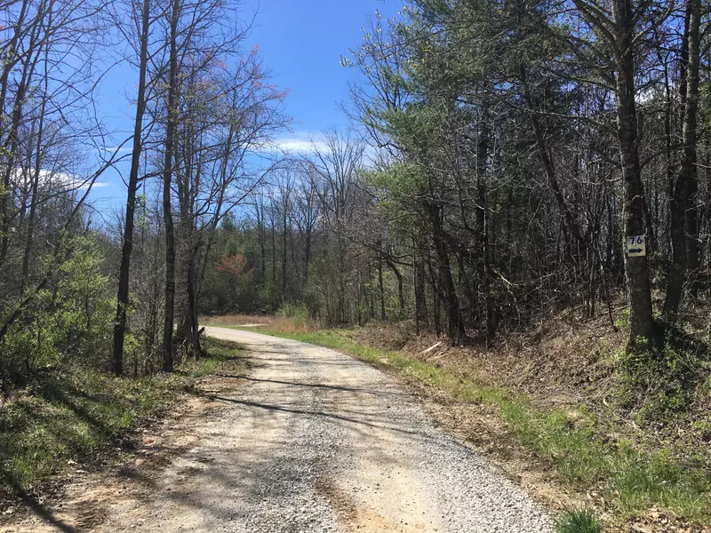 Wolf Creek Rd, Robbins, TN 37852