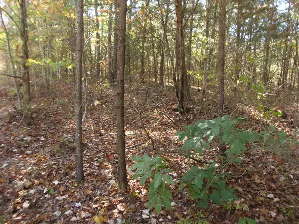 Maryville, TN 37803,Eagle Ridge Rd