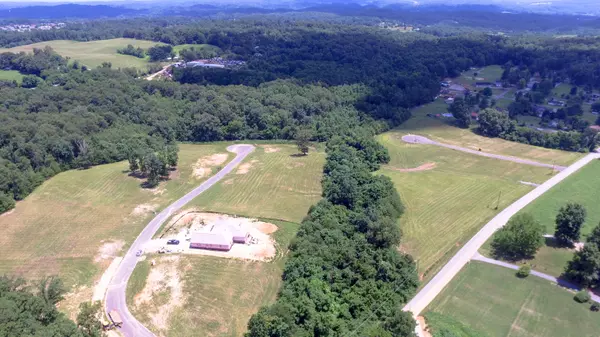 Strawberry Plains, TN 37871,Lot 13 Dogwood Meadows DR