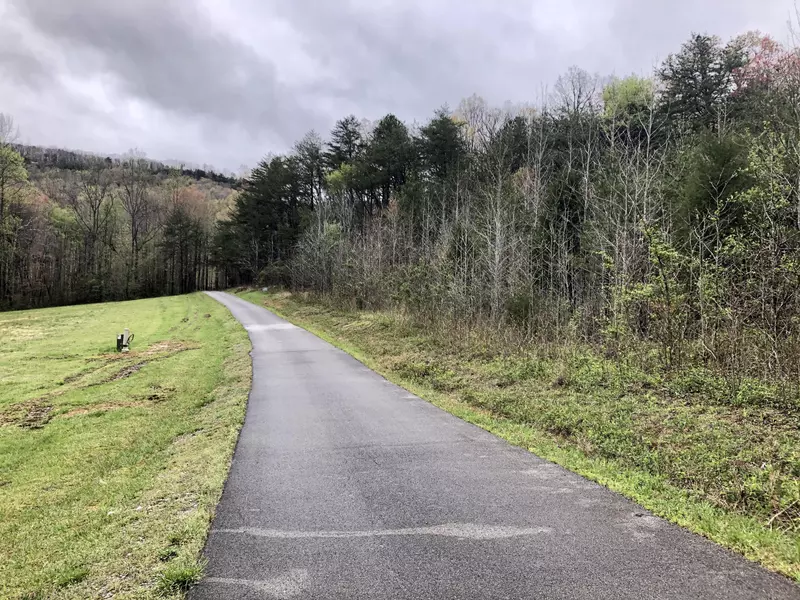 Worthington Springs DR, Pikeville, TN 37367