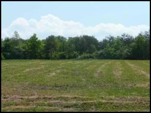 Englewood, TN 37329,Lot #32 County Road 545