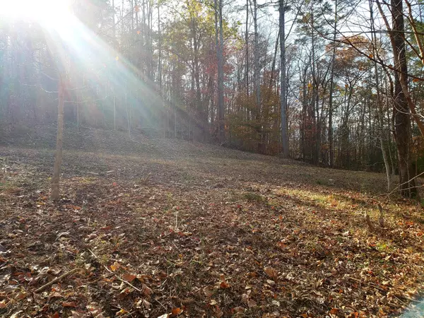 Caryville, TN 37714,Lot 18 Lakemont LN