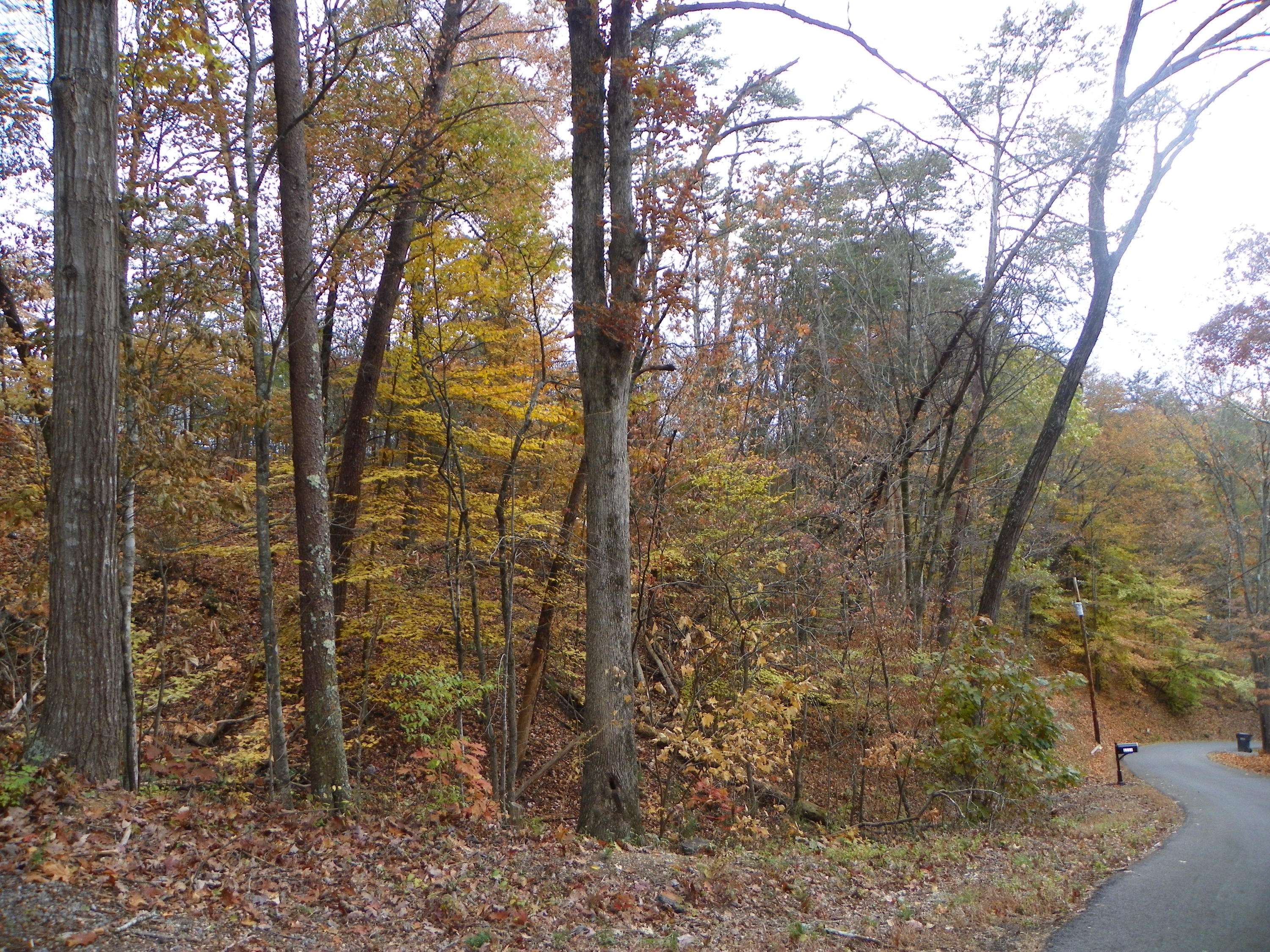 Lots#5, 6&7 Lee Cardwell CIR, Pigeon Forge, TN 37863