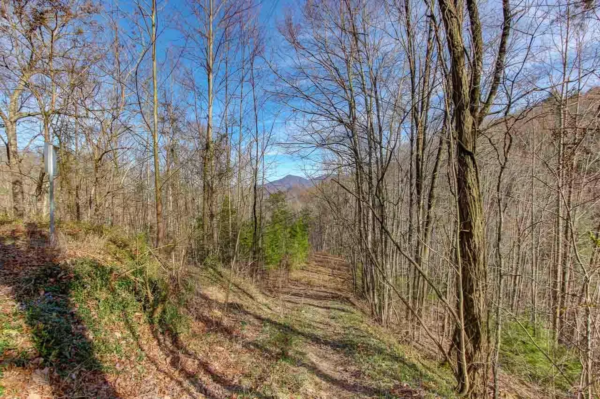 Gatlinburg, TN 37738,Lot 3 Ski Mountain Rd