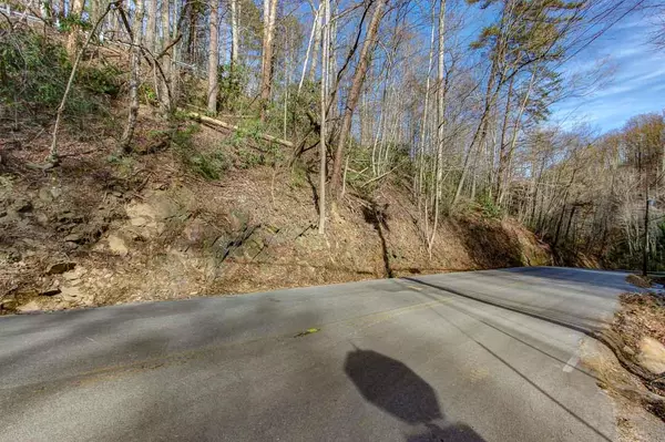 Gatlinburg, TN 37738,Lot 3 Ski Mountain Rd