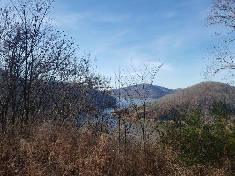 Lot 42 Walnut Bend DR, Whitesburg, TN 37891