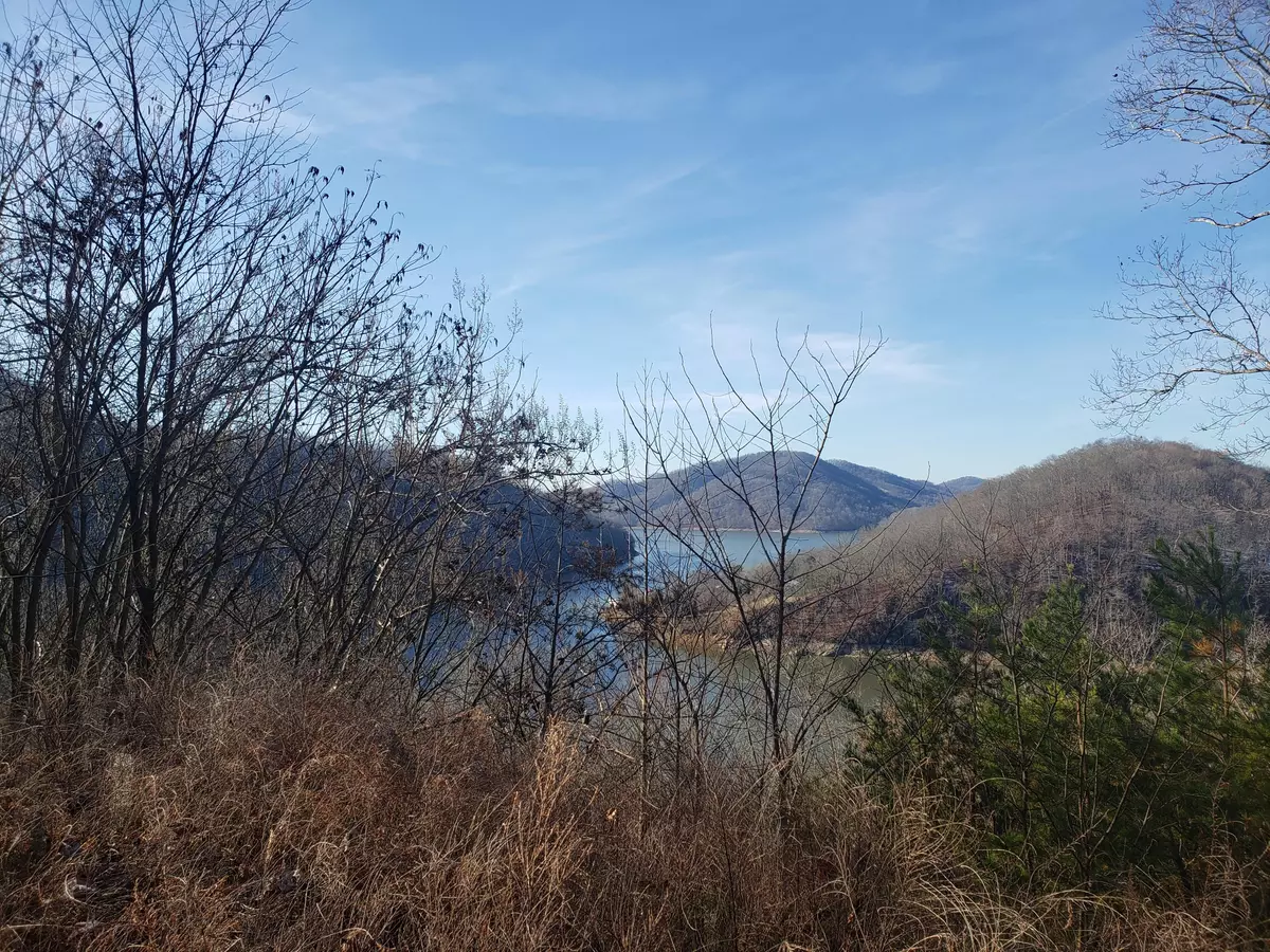 Whitesburg, TN 37891,Lot 42 Walnut Bend DR