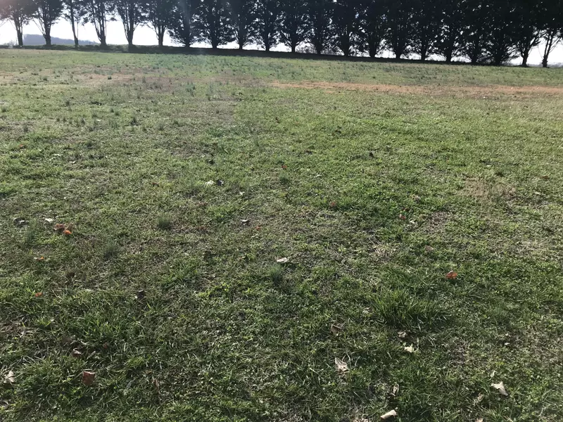 163 Wind Chase WAY, Madisonville, TN 37354