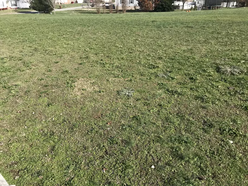 241 Wind Chase DR, Madisonville, TN 37354