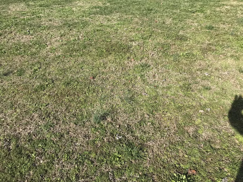 108 Wind Chase WAY, Madisonville, TN 37354