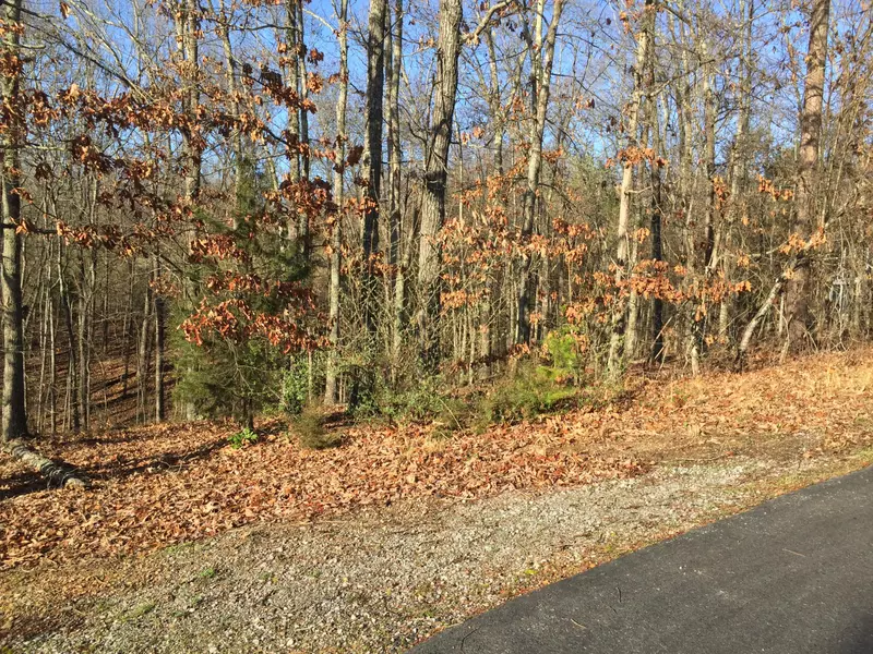 202 Shawnee TRCE, Loudon, TN 37774