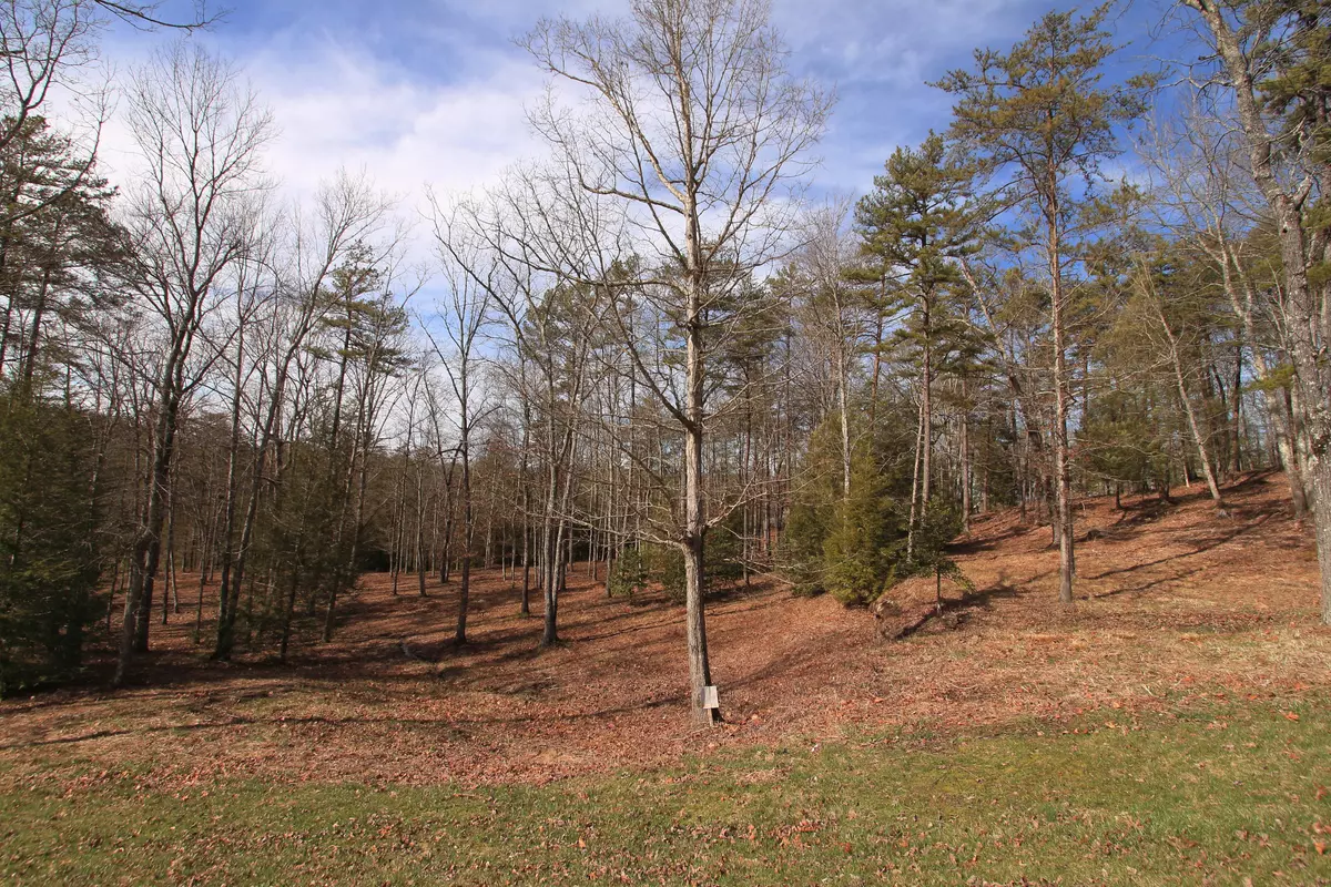 Jamestown, TN 38556,Lot 40 Grandview WAY