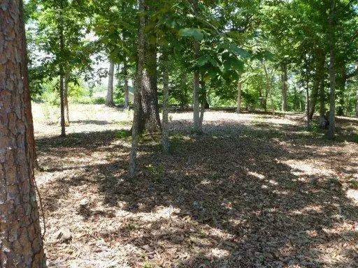 Rockwood, TN 37854,Star Lane  Lot 221