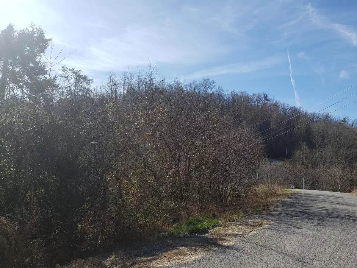 New Tazewell, TN 37825,Lot 868 Clearwater Rd