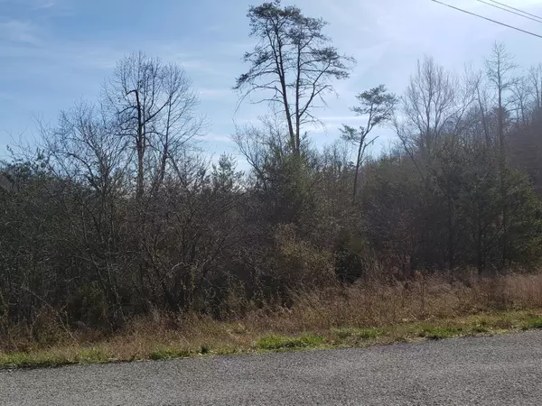 New Tazewell, TN 37825,Lot 868 Clearwater Rd