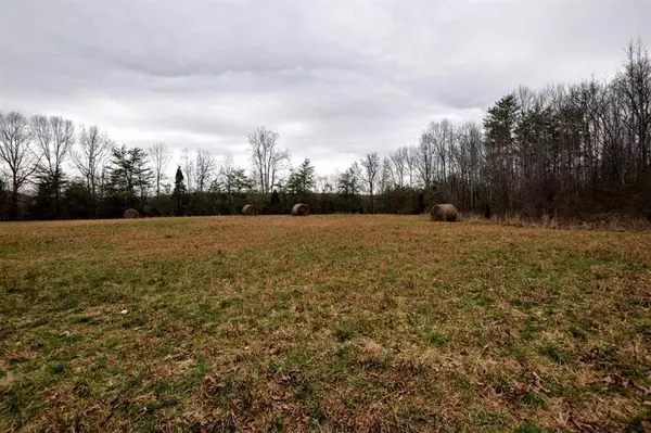 Spring City, TN 37381,73.16 Ac Toestring Valley