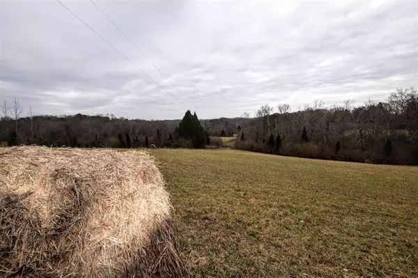 Spring City, TN 37381,73.16 Ac Toestring Valley