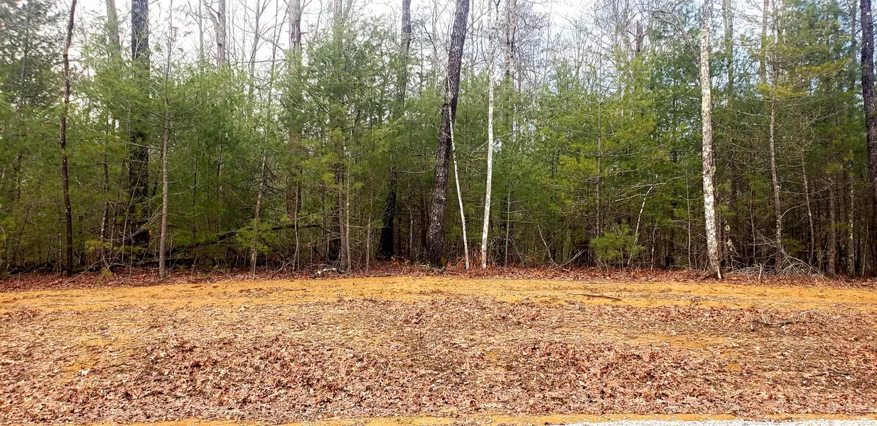 Lot 1002 Spruce Creek DR, Jamestown, TN 38556