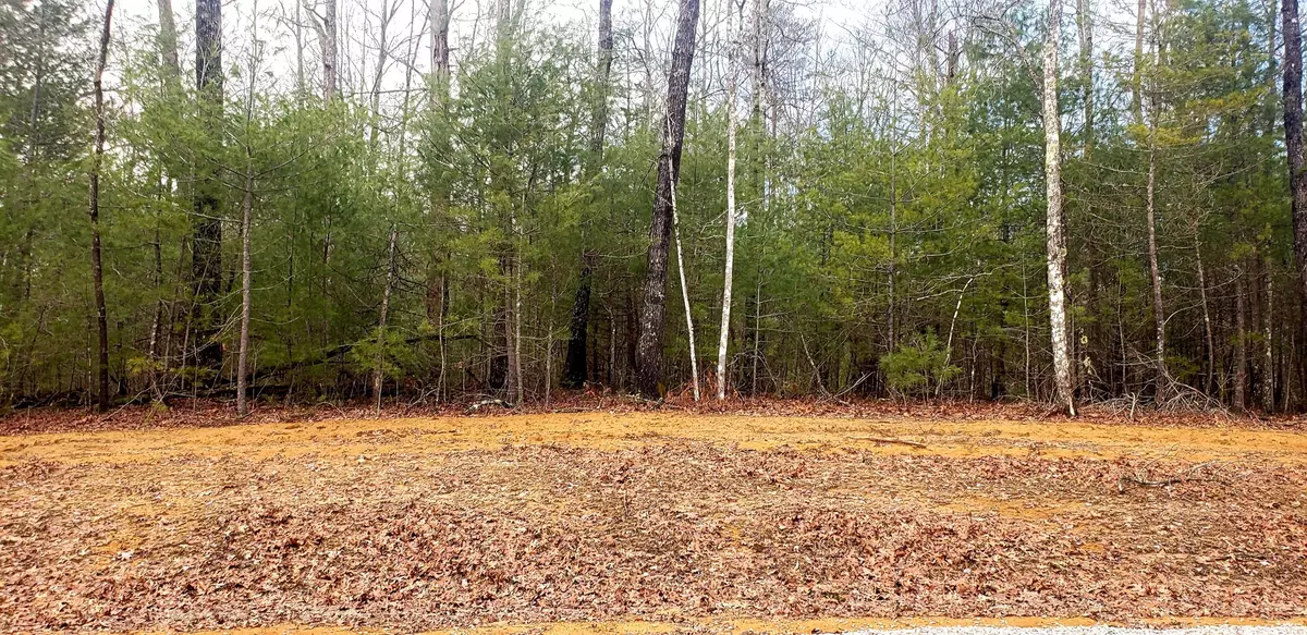 Jamestown, TN 38556,Lot 1002 Spruce Creek DR