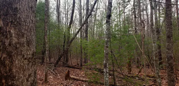 Jamestown, TN 38556,Lot 1003 Spruce Creek DR