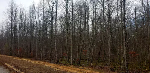 Lot 1006 Spruce Creek DR, Jamestown, TN 38556