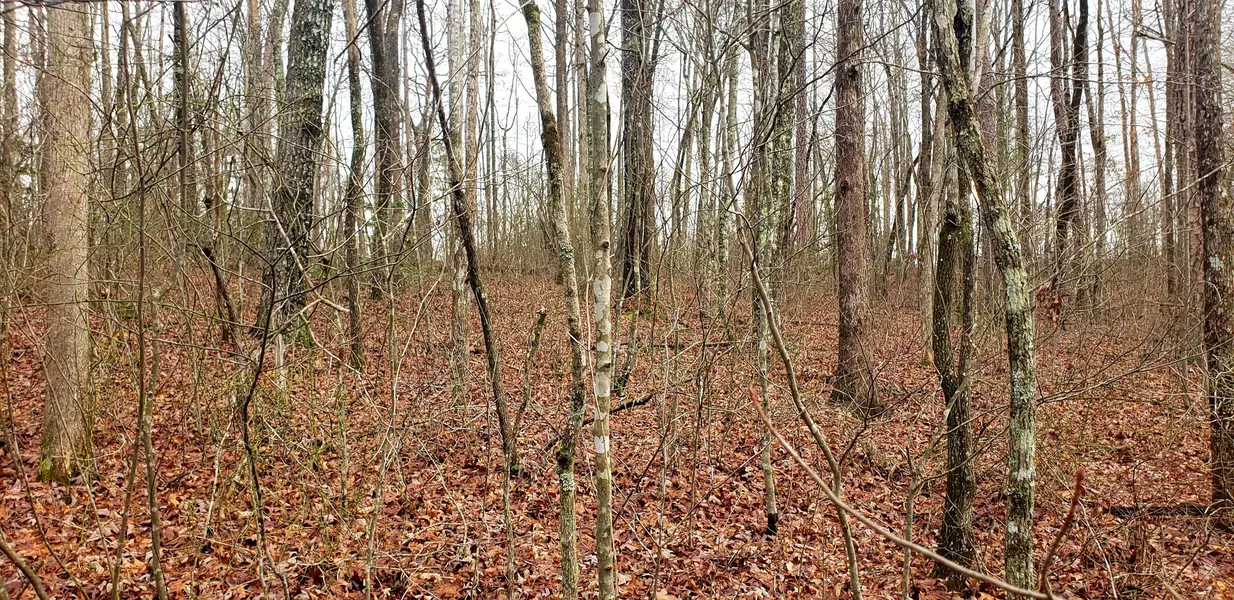 Lot 43 Trimmer LN, Jamestown, TN 38556