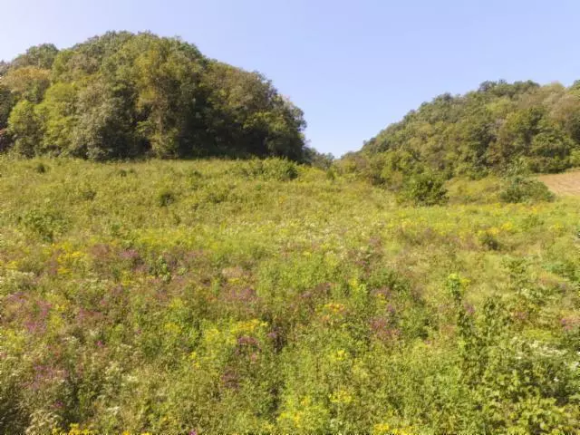 72.68 Ac. South Fork Road, Whitleyville, TN 38588