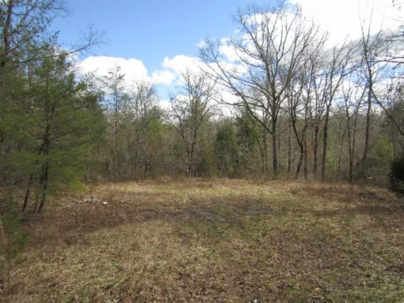 52.88ac Nashville Hwy, Deer Lodge, TN 37726