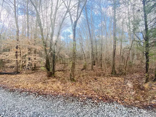 000 Dunn Rd, Tellico Plains, TN 37385