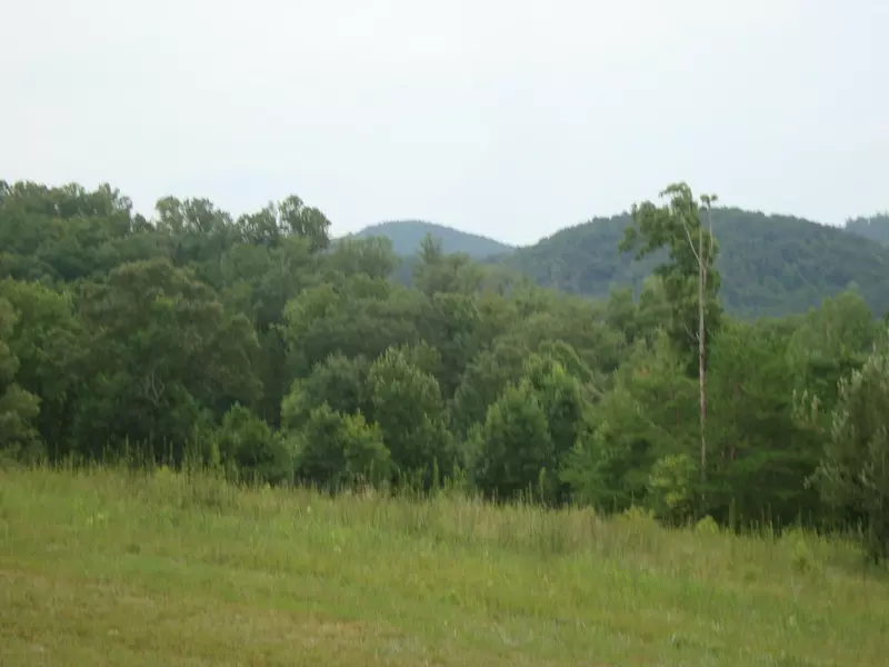 1 Williams Rd., Tellico Plains, TN 37385