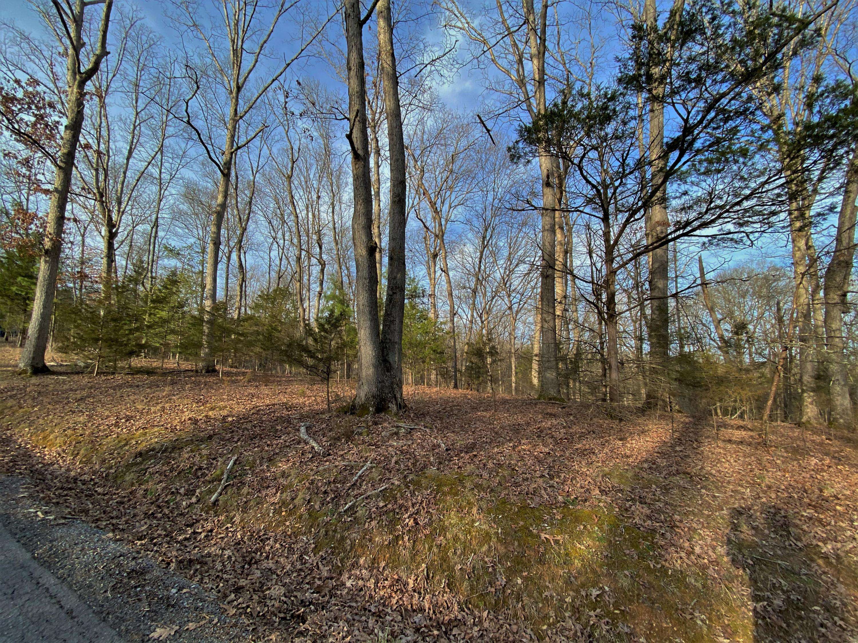 Parrottsville, TN 37843,172 Emerald Way