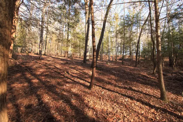 Allardt, TN 38504,Lot 113 End Of Trail CT