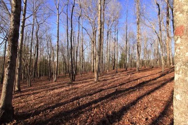 Allardt, TN 38504,Lot 113 End Of Trail CT