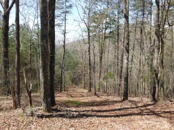 Tellico Plains, TN 37385,820 Belltown Rd