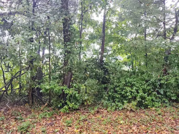 Rocky Top, TN 37769,3.6 Acres Savage Garden Rd